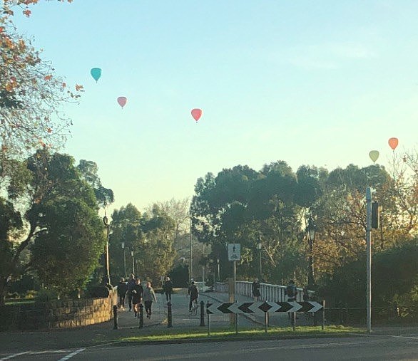 墨尔本上空的热气球，今天多少小伙伴看到了？！（组图） - 1