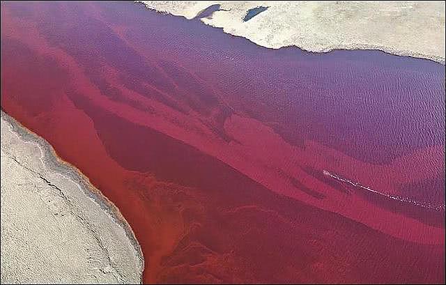 普京宣布进入紧急状态！俄罗斯发生严重柴油泄露，附近河流瞬间变“红海”（组图） - 2