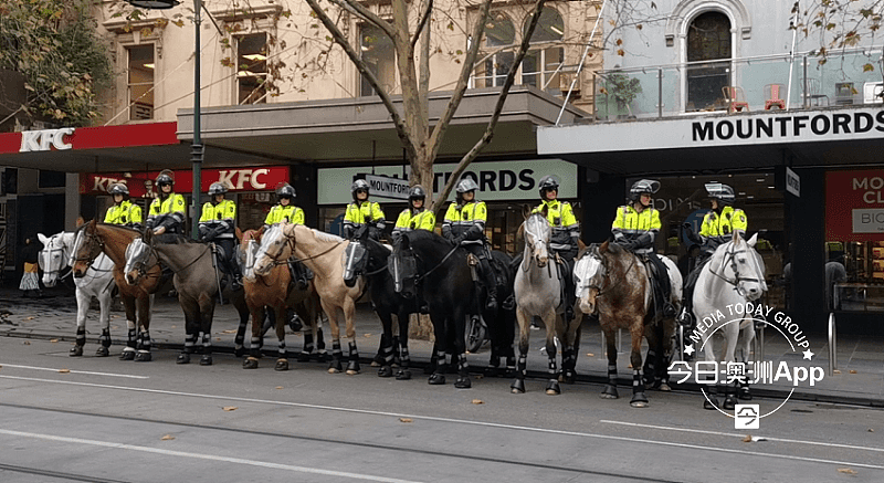 悉尼游行发生冲突！示威者拒绝离开中央车站被喷辣椒水，1人当场被捕（视频/组图） - 34
