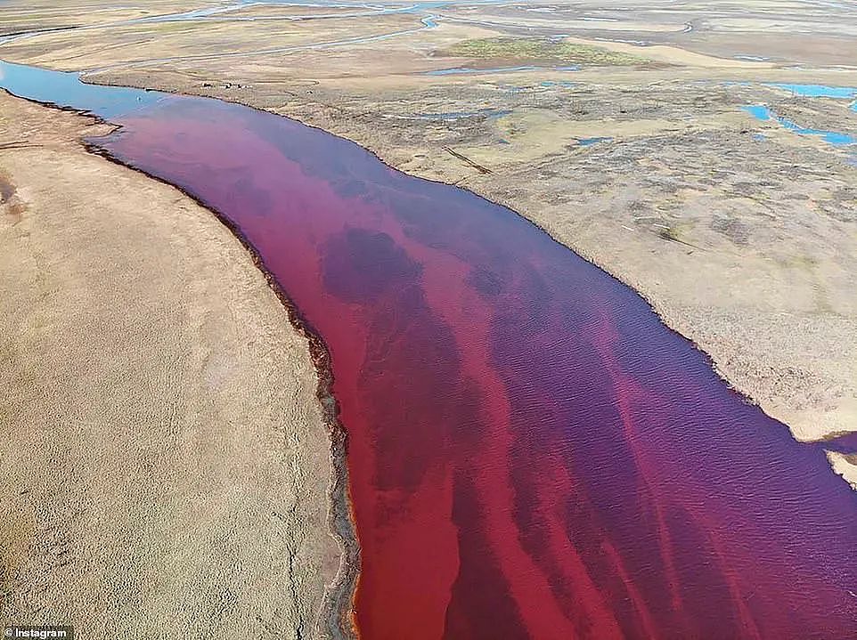 海底神秘生物被塑料荼毒，北极石油泄漏河流染成血色，人类在经历第六次生物大灭绝（组图） - 6