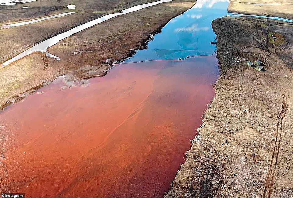 海底神秘生物被塑料荼毒，北极石油泄漏河流染成血色，人类在经历第六次生物大灭绝（组图） - 4