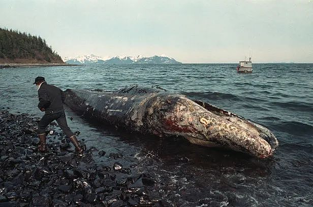 海底神秘生物被塑料荼毒，北极石油泄漏河流染成血色，人类在经历第六次生物大灭绝（组图） - 3
