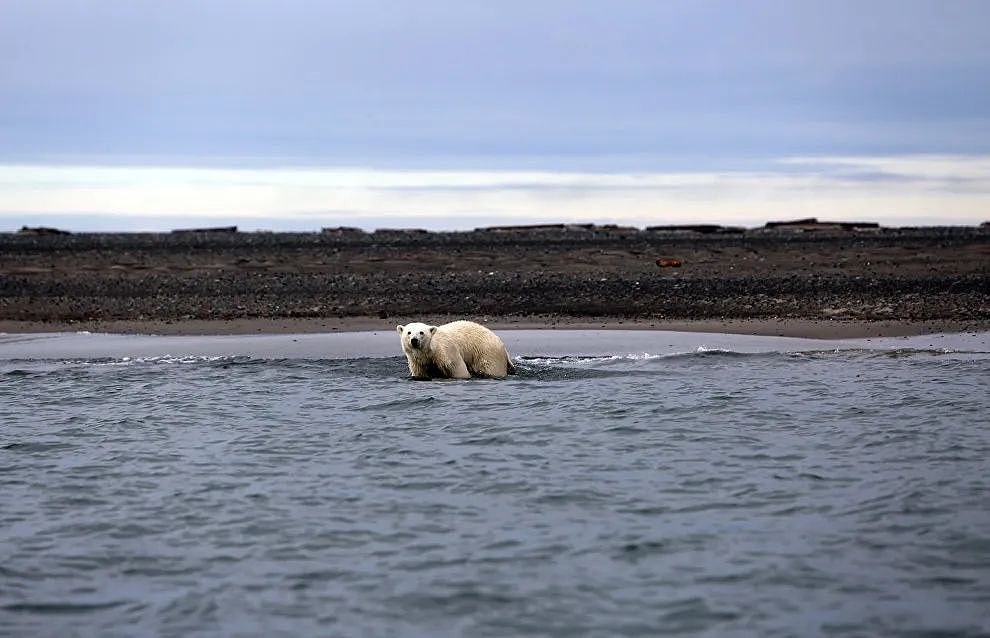 海底神秘生物被塑料荼毒，北极石油泄漏河流染成血色，人类在经历第六次生物大灭绝（组图） - 12