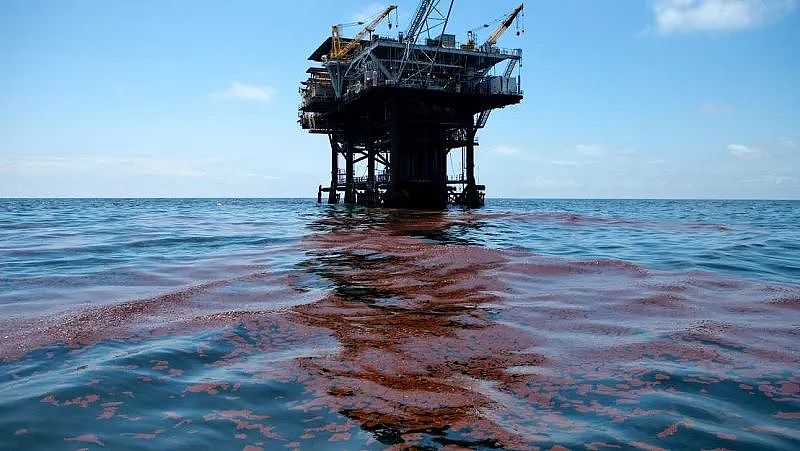 海底神秘生物被塑料荼毒，北极石油泄漏河流染成血色，人类在经历第六次生物大灭绝（组图） - 16