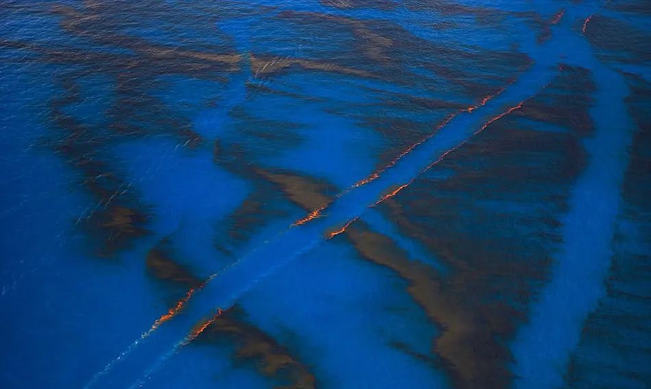 海底神秘生物被塑料荼毒，北极石油泄漏河流染成血色，人类在经历第六次生物大灭绝（组图） - 23