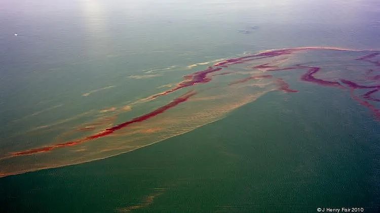 海底神秘生物被塑料荼毒，北极石油泄漏河流染成血色，人类在经历第六次生物大灭绝（组图） - 26