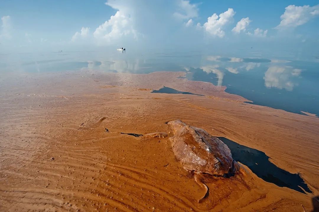 海底神秘生物被塑料荼毒，北极石油泄漏河流染成血色，人类在经历第六次生物大灭绝（组图） - 36
