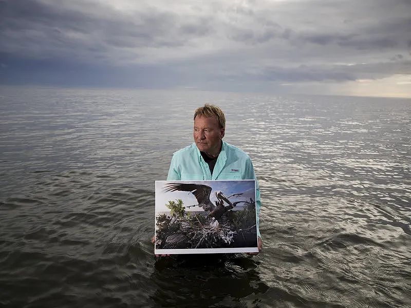 海底神秘生物被塑料荼毒，北极石油泄漏河流染成血色，人类在经历第六次生物大灭绝（组图） - 42