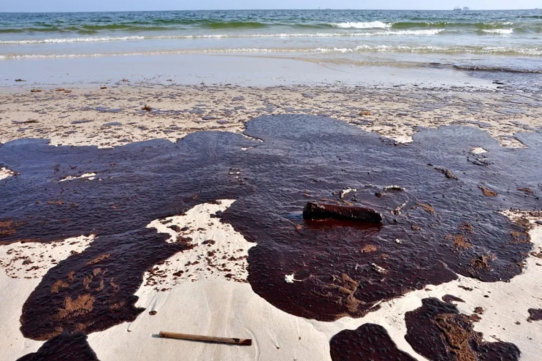 海底神秘生物被塑料荼毒，北极石油泄漏河流染成血色，人类在经历第六次生物大灭绝（组图） - 47