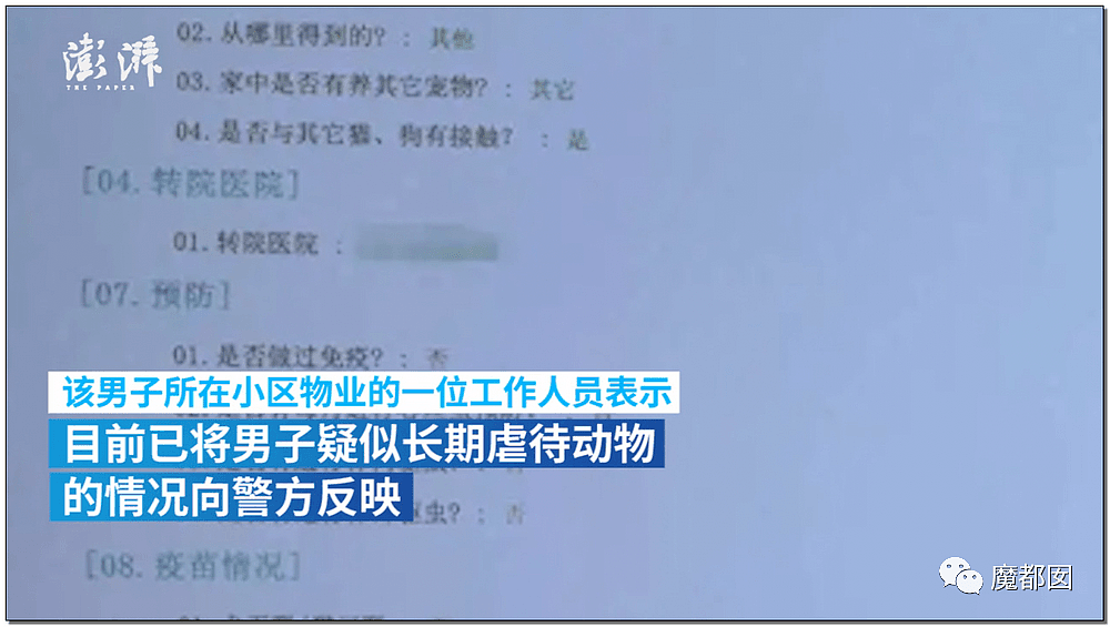 惊到浑身发冷！男子长期虐待狗的性器官，拍下性侵猫的图片...还打志愿者和宠物医生（组图） - 38