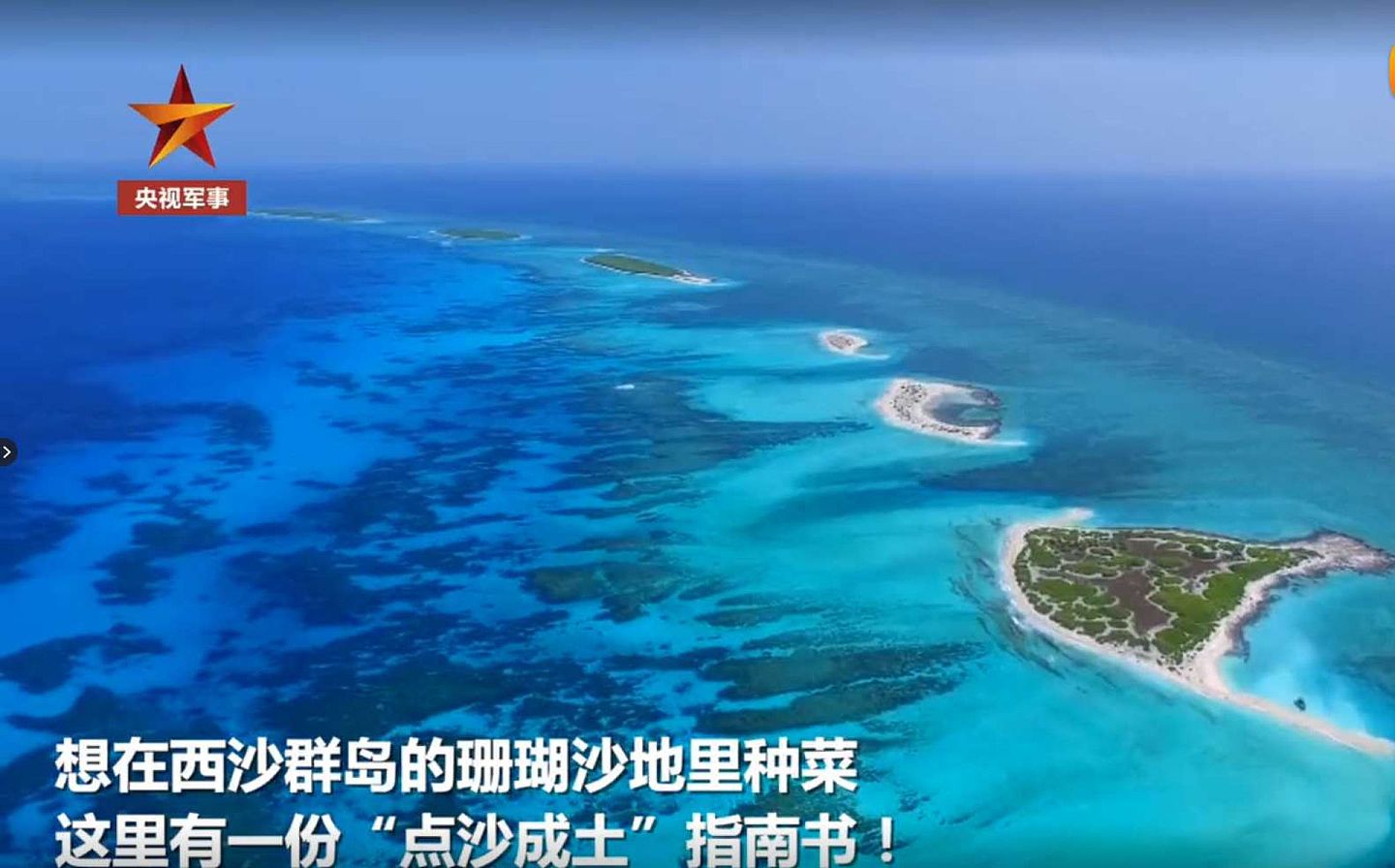 2020年5月31日，中国央视军事频道播出三沙市永兴岛海滩上一片“沙变土”试验田节目。（中国央视军事视频截图）