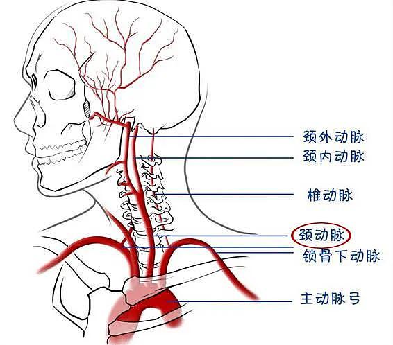 暴乱导火索！两次尸检结论相悖，中国医生揭示死亡真相，颈部不能被挤压，真正原因是窒息