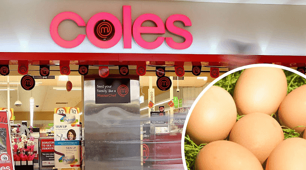 澳女在Coles买了一盒蛋，回家一看惊呆了！连开6个都是...（组图） - 2