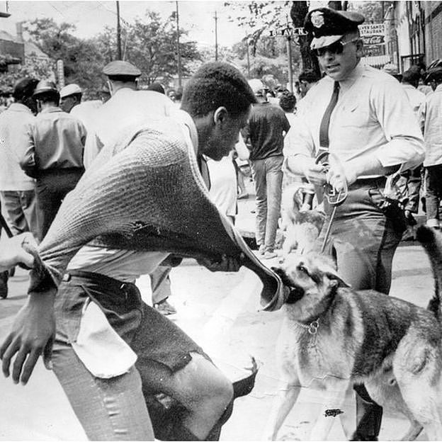 1963年亚拉巴马州反种族隔离示威游行者遭警犬袭击