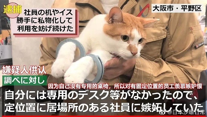 【宠物】生活不易，猫猫入狱......（组图） - 20