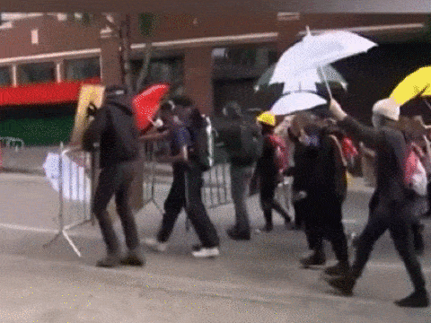 美国抗议者闹出了个“无警察自治区”，香港：这味道，实在太熟悉...（组图） - 12