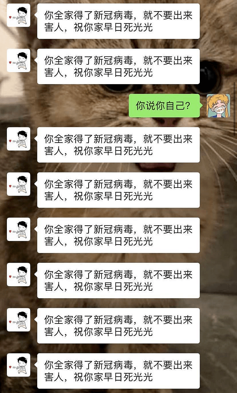 气炸！中国留学生回国隐私遭泄露，骚扰、谩骂、诅咒不断：全家死光光（组图） - 14