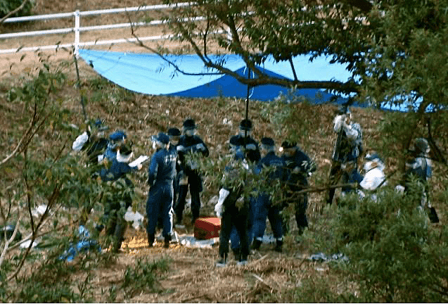 重庆女孩日本遇害被藏尸行李箱，31岁男子被抓（组图） - 2