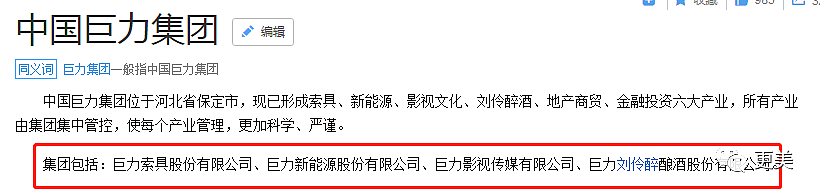 零花钱2亿的黄圣依，竟嫁了一个伪豪门 百亿身价靠吹嘘？杨子配偶栏并非黄圣依 宫斗失败才复出？（组图） - 26