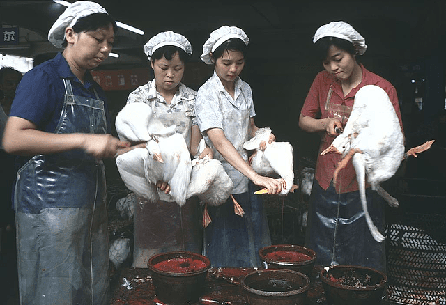1977年的中国真实老照片：那时候的人们都是这样子（组图） - 2