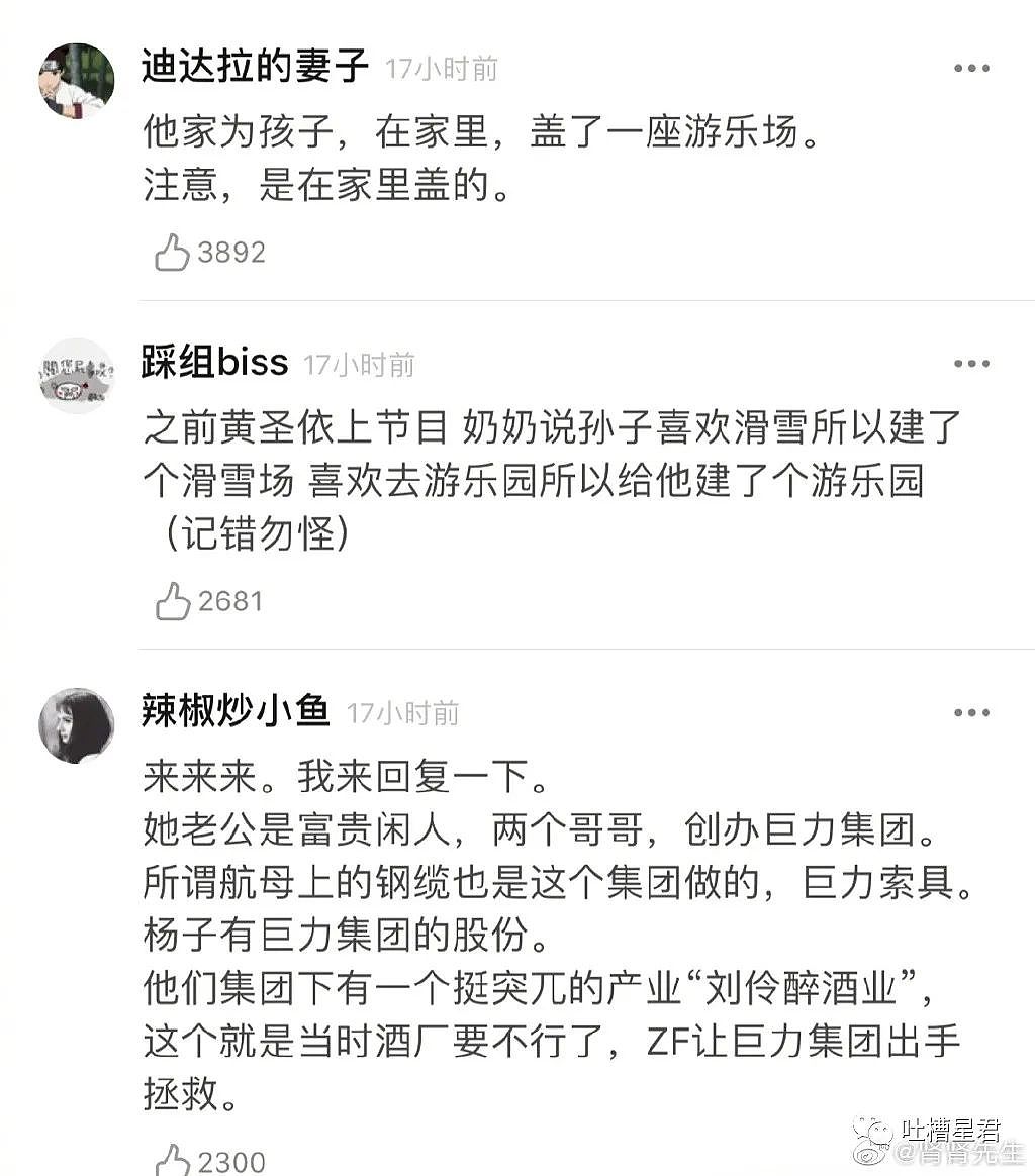【爆笑】“杨子一年给黄圣依零花钱2个亿？”网友：贫穷使我面目全非…（组图） - 9