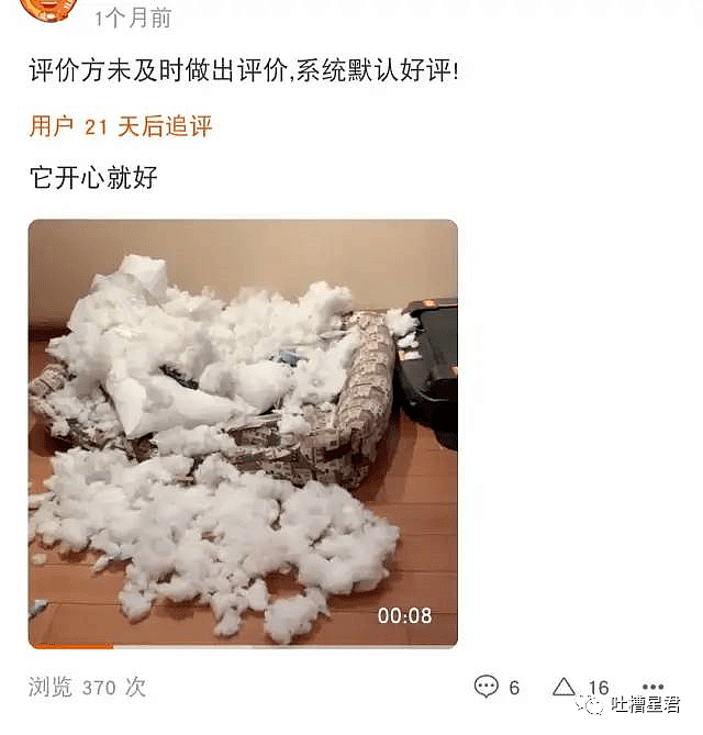 【爆笑】“杨子一年给黄圣依零花钱2个亿？”网友：贫穷使我面目全非…（组图） - 45