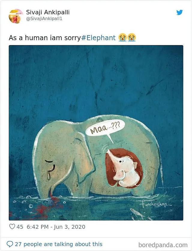 怀孕母象被人类投喂炸弹惨死，全球艺术家哭着为她作画