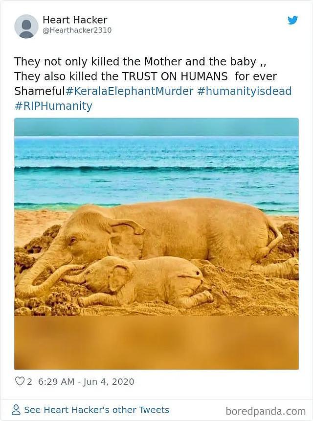 怀孕母象被人类投喂炸弹惨死，全球艺术家哭着为她作画