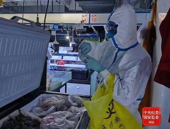 中国暂停部分加拿大海鲜、德国猪肉企业产品输华！处理水产、肉禽要注意这些！（组图） - 5
