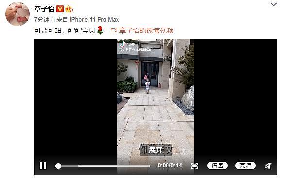 章子怡晒女儿热舞反曝光豪宅 花园走廊如跑道  网友：院子能遛马了（组图） - 2