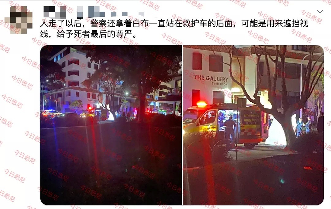 悉尼澳中国女留学生从6楼坠落，现场视频曝光（视频/组图） - 5