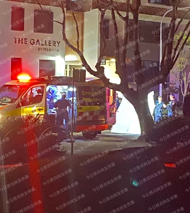 悉尼澳中国女留学生从6楼坠落，现场视频曝光（视频/组图） - 11