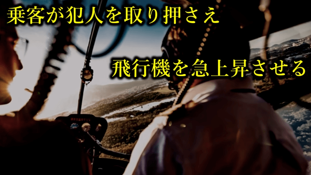 日本最惊险劫机事件！一宅男刺死机长，劫持500多名乘客，只为开飞机过把瘾？！（组图 ） - 11