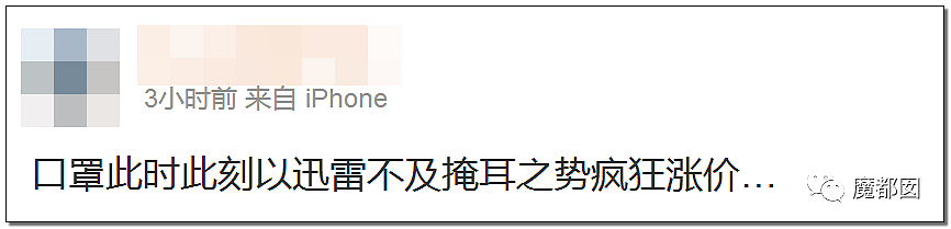 中国网友开始骂街！想买点口罩结果等来的是涨价？（组图） - 27