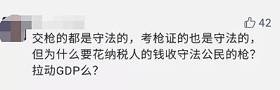 4天3起枪击案，1人死亡多人受伤！新西兰枪支管理体系为什么一直漏洞百出？（组图） - 5