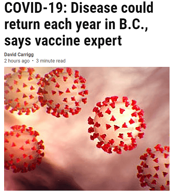 疫苗专家：新冠病毒可能发展成季节性病毒，疫苗顶多管2个月...（组图） - 4