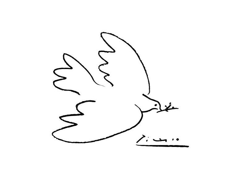 毕加索名画：和平鸽