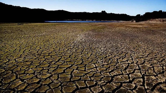 太惨！疫情还没结束，新西兰又遭遇大旱 而另一种病毒也在新西兰悄悄蔓延 上万人失业，取水还遭反对（组图） - 3