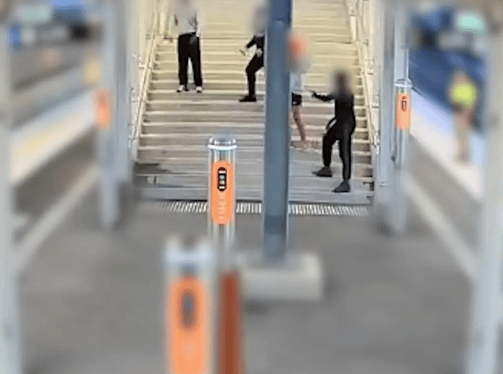 悉尼火车站惊现暴力事件，青少年手举大刀恐吓乘客，3名涉事者被捕（组图） - 5