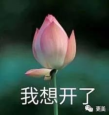 花心渣男郑钧和刘芸的故事，远不止5角恋这么简单！（组图） - 50