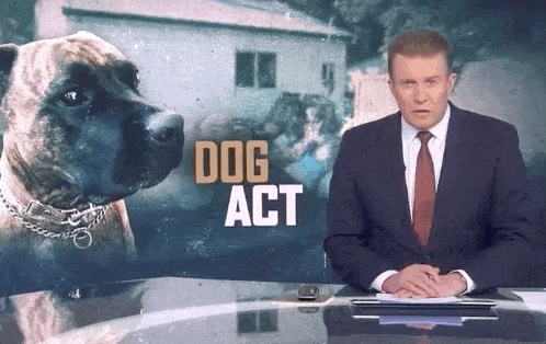 【宠物】狗狗被澳洲主人虐待视频，疯传网络！举重冠军气到上门，大爷救狗却被捅了...（组图） - 14