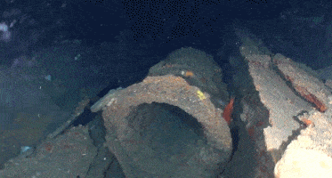 118年后，新西兰发现华人矿工的遗骨，在深海150米……（组图） - 7