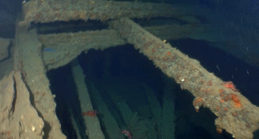 118年后，新西兰发现华人矿工的遗骨，在深海150米……（组图） - 8