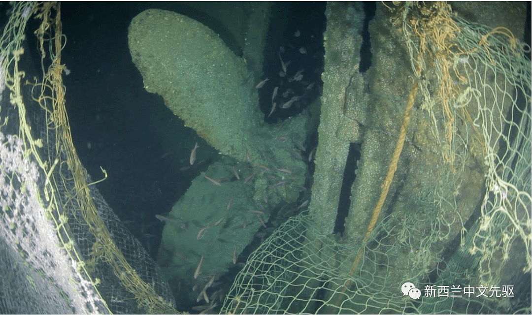 118年后，新西兰发现华人矿工的遗骨，在深海150米……（组图） - 9