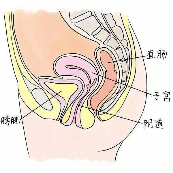 【两性】“啪啪”多了会变松？这些X知识你真的了解吗？！ - 5