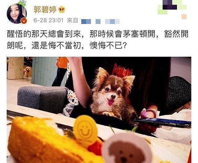 郭碧婷深夜控诉“悔不当初”？屡被催生终怀孕，却与向佐的豪门婚姻出了问题？（组图） - 6