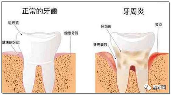 中国有多少无辜百姓被强行吃药！某些凉茶被抓揭开行业黑幕（组图） - 73