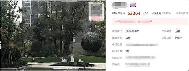 ​国民老公王思聪为女友买房被拍，3000多万豪宅区首次曝光！图片爆出网友热议！悉尼华人笑了，在CBD的空中花园“打脸”王思聪！ - 2