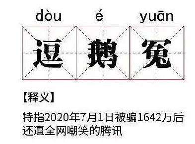 起诉老干妈被打脸，腾讯遭骗“逗鹅冤”！法国人：论骗局，我们才是“专业”的（组图） - 4