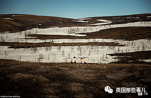 “全世界最冷小镇”今年夏天气温飙到38℃！灾害频发，北极圈不好过了（组图） - 22